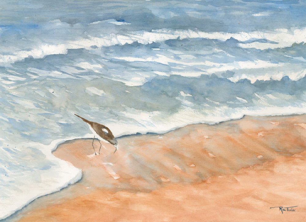 Sandpiper Watercolor Painting