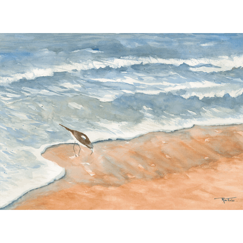 Sandpiper by Ocean City Artist Rina Thaler